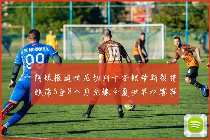 阿媒报道帕尼切利十字韧带断裂将缺席6至8个月无缘今夏世界杯赛事